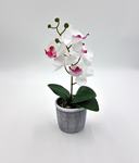 UMELÁ ORCHIDEA BIELA 32cm