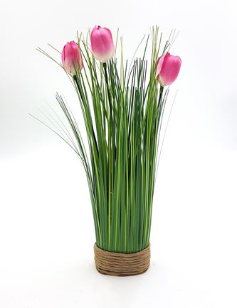 RUŽOVÉ TULIPÁNY V TRÁVE